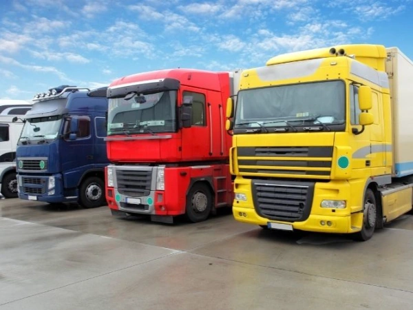 İstanbul Dereli Nakliye